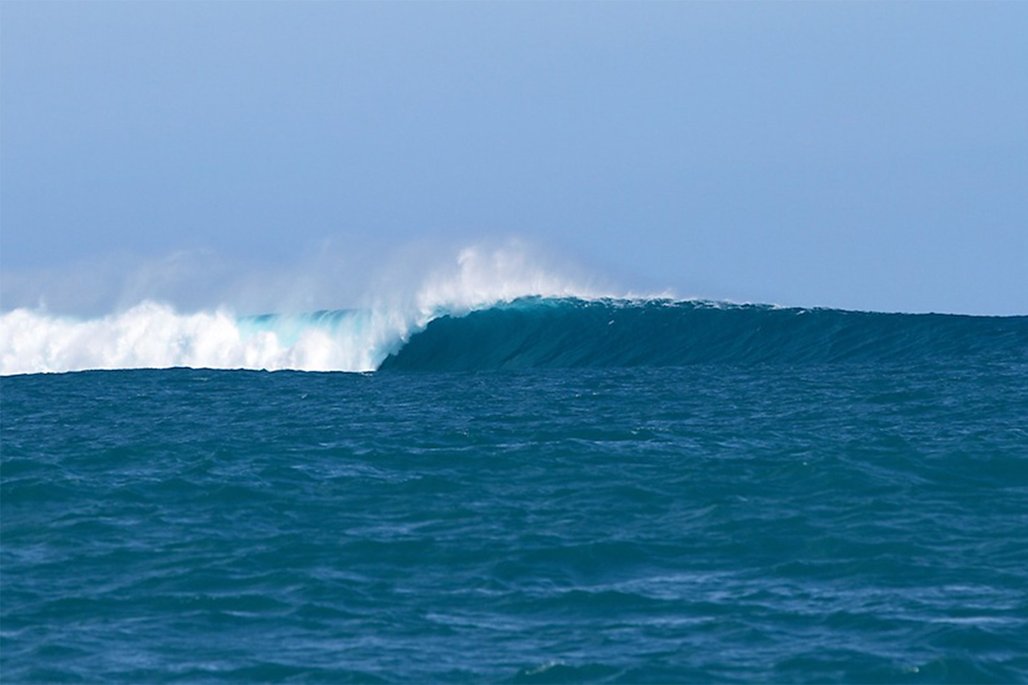 pulse-surf-charters-bombie-03