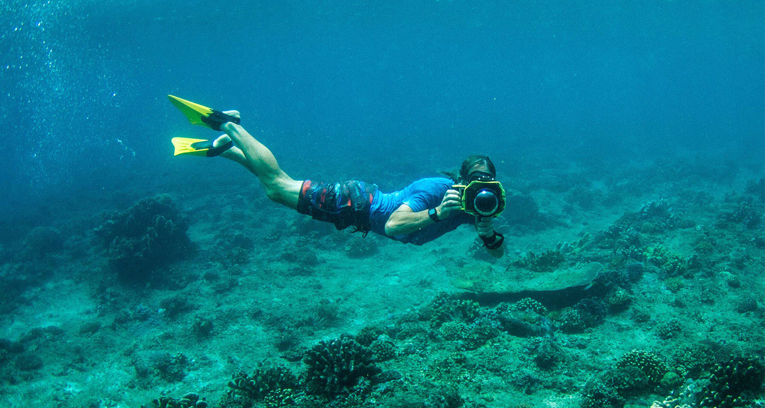 pulse-surf-charters-bookings-diver