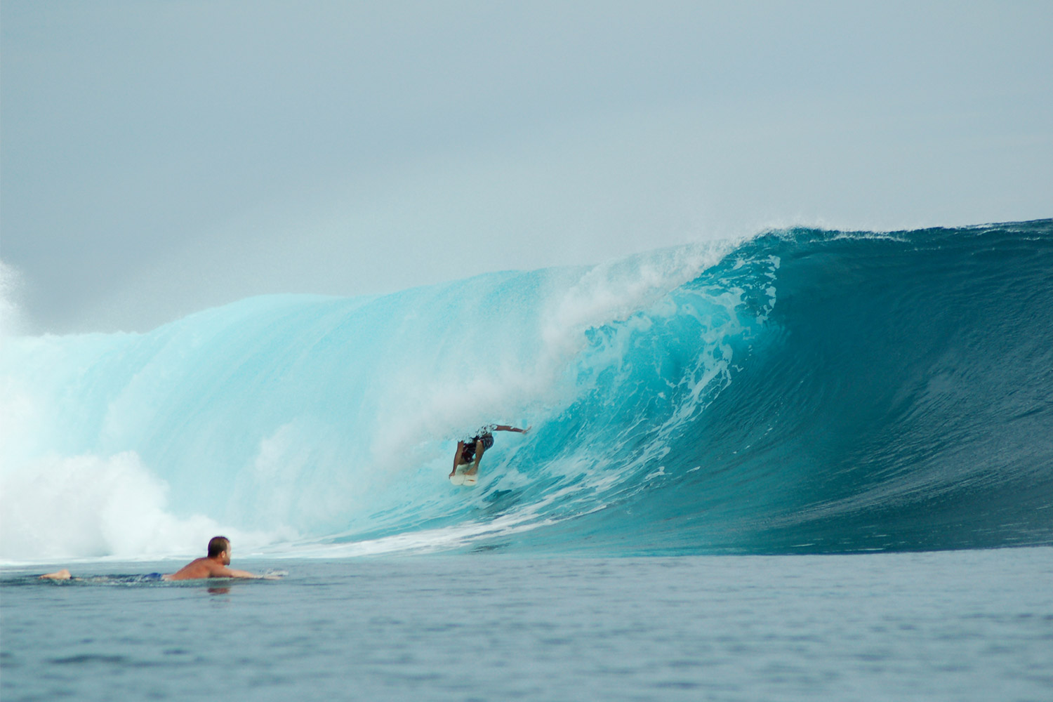 pulse-surf-charters-cobra-logs-09