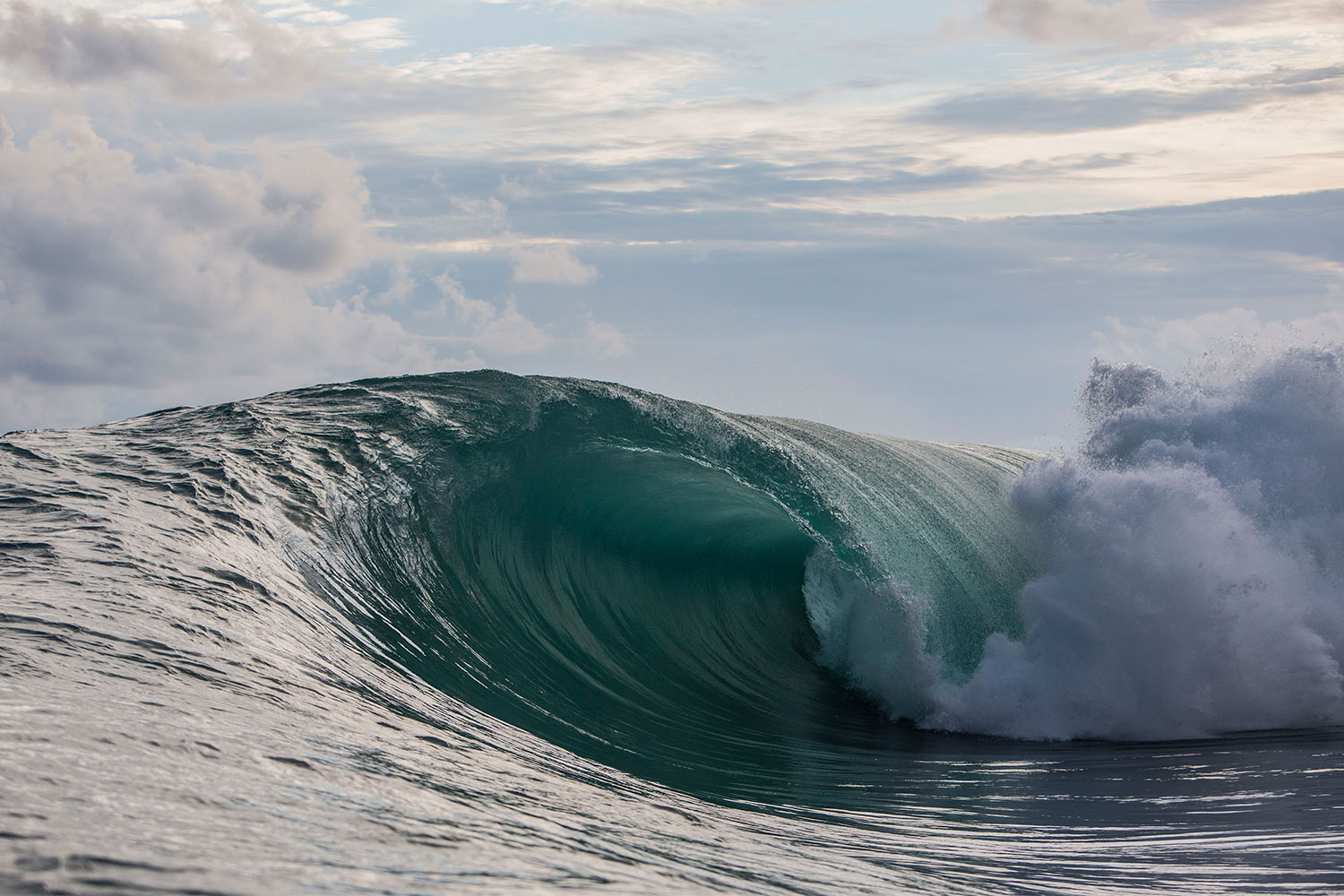 pulse-surf-charters-hayden-shapes-05