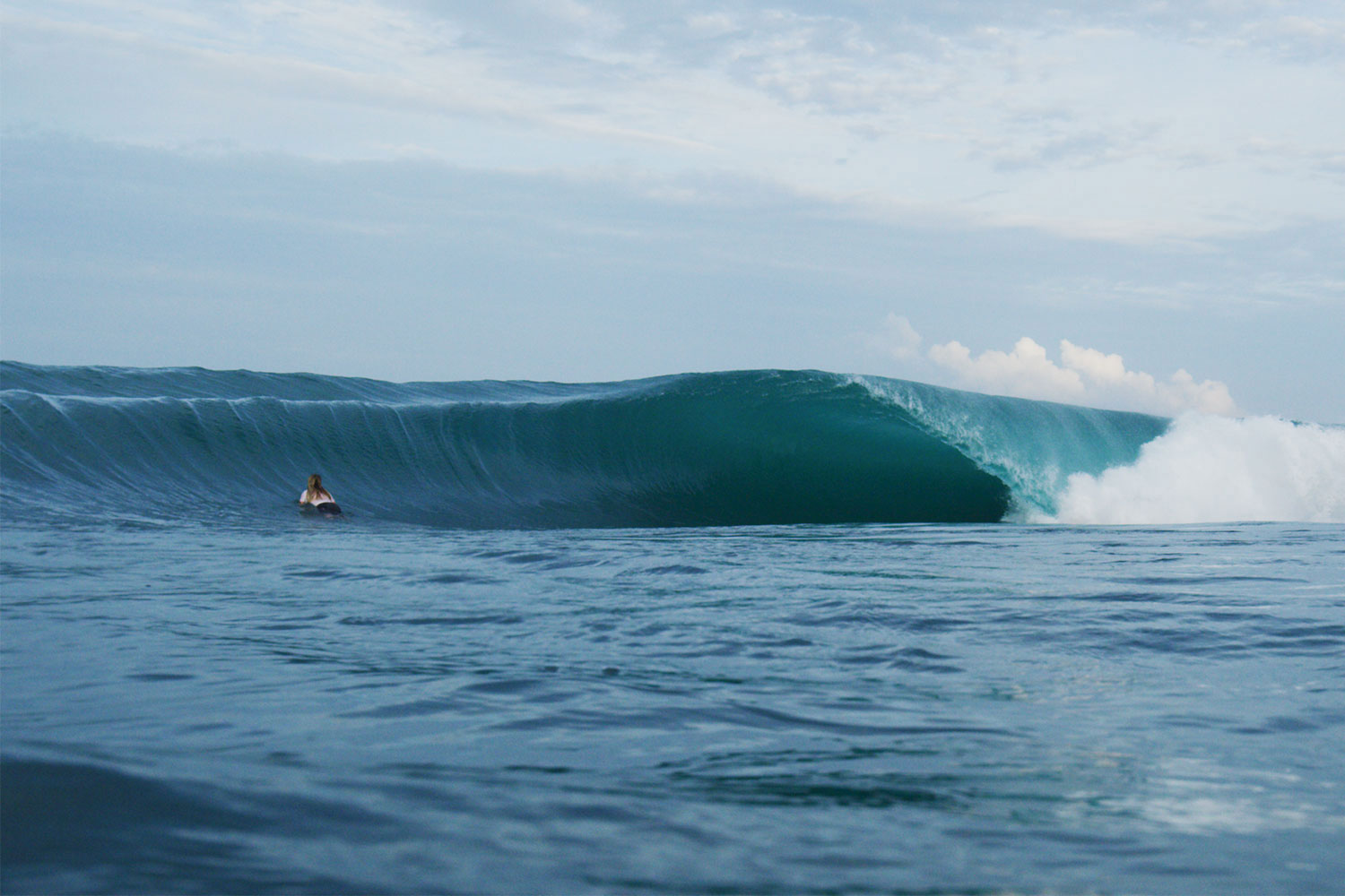 pulse-surf-charters-hayden-shapes-09