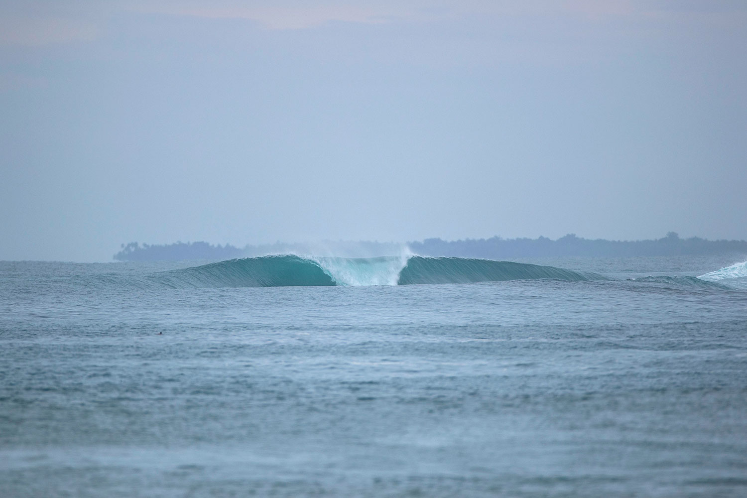 pulse-surf-charters-hayden-shapes-21