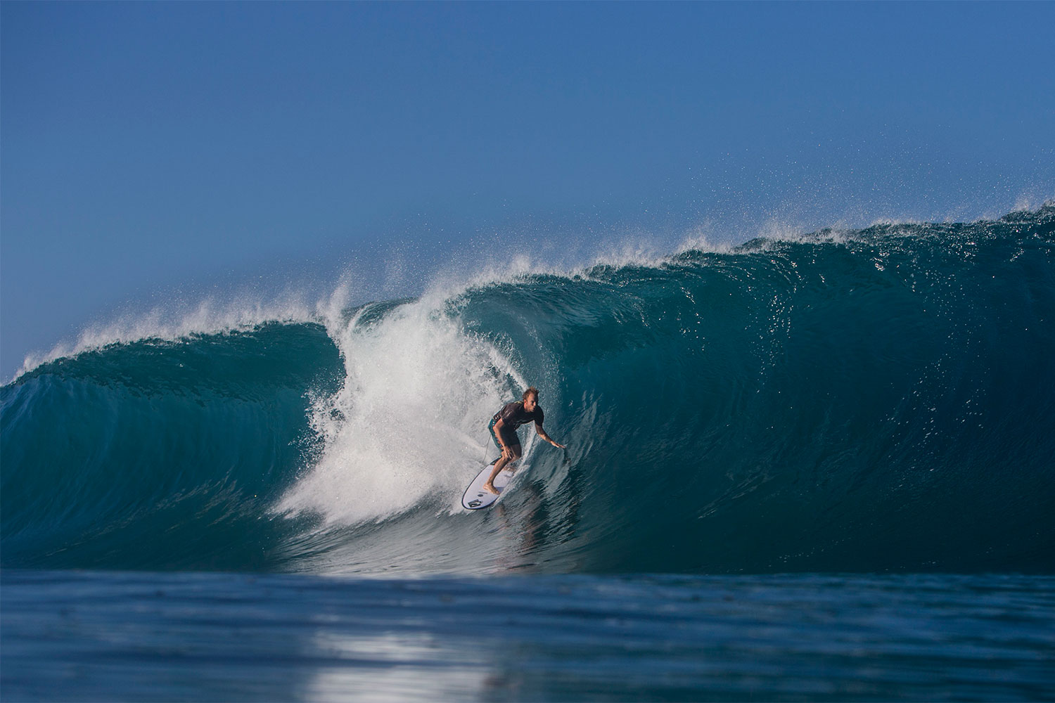pulse-surf-charters-hayden-shapes-25