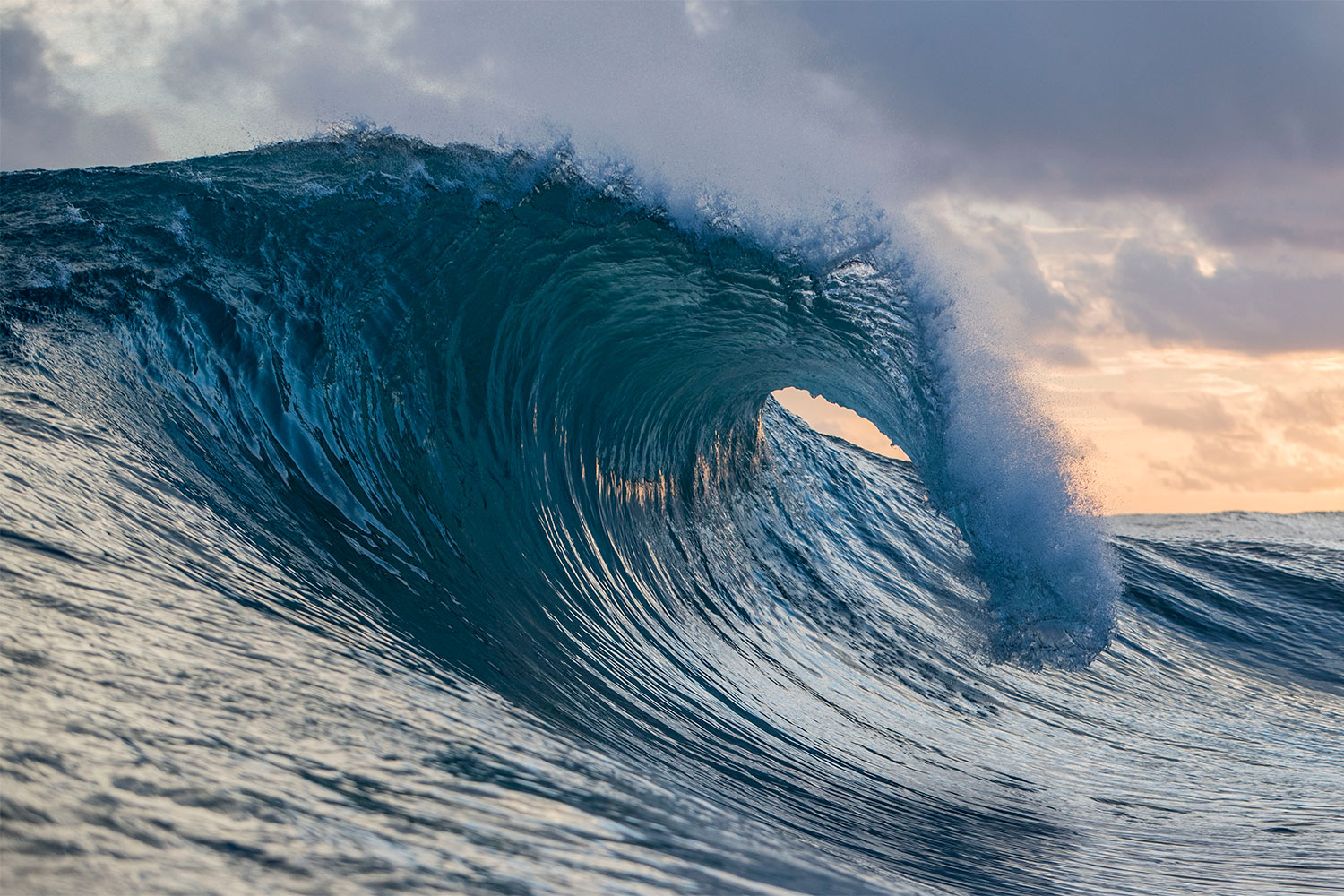pulse-surf-charters-hayden-shapes-31