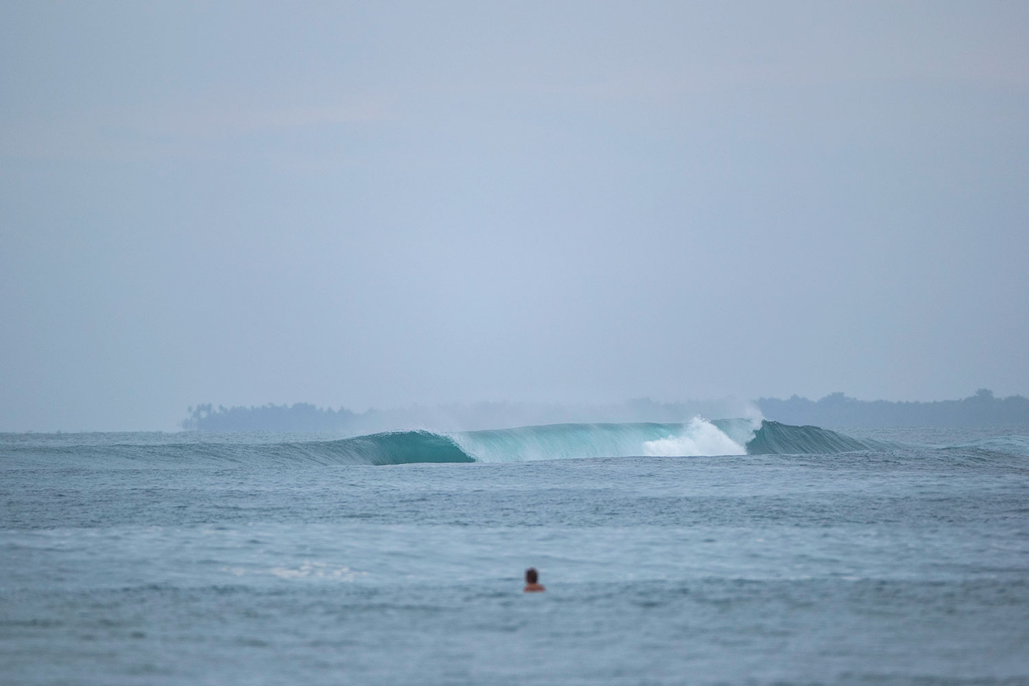 pulse-surf-charters-hayden-shapes-35