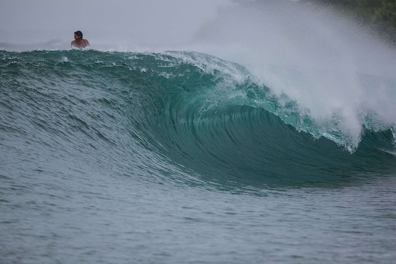 pulse-surf-charters-hayden-shapes-36