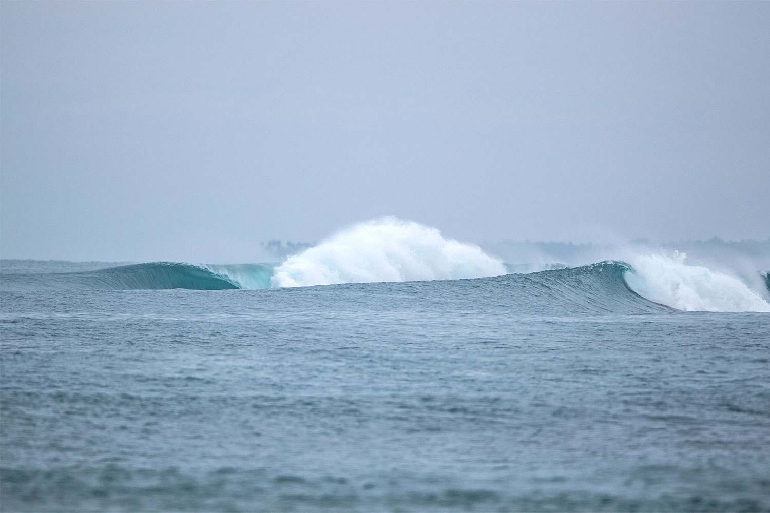 pulse-surf-charters-hayden-shapes-37