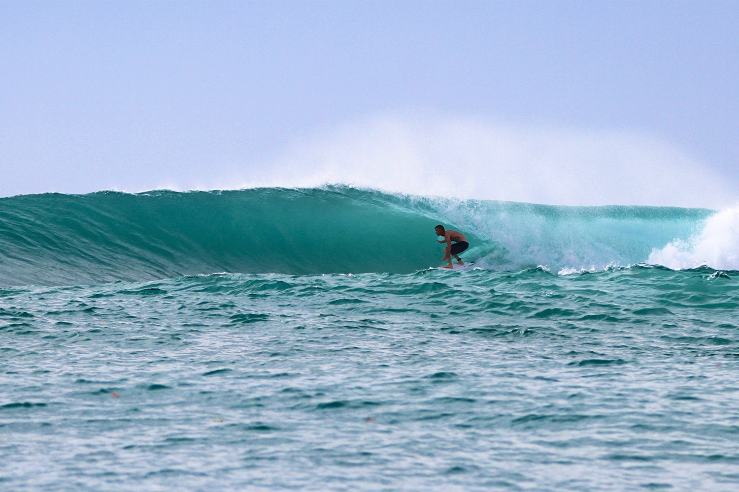 pulse-surf-charters-mini-mie-02