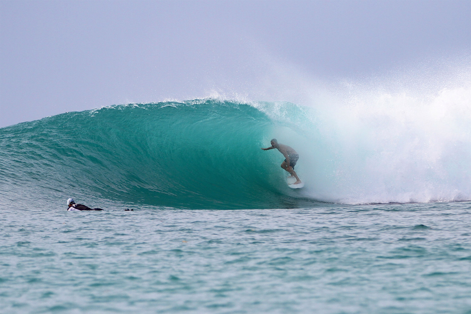 pulse-surf-charters-mini-mie-03