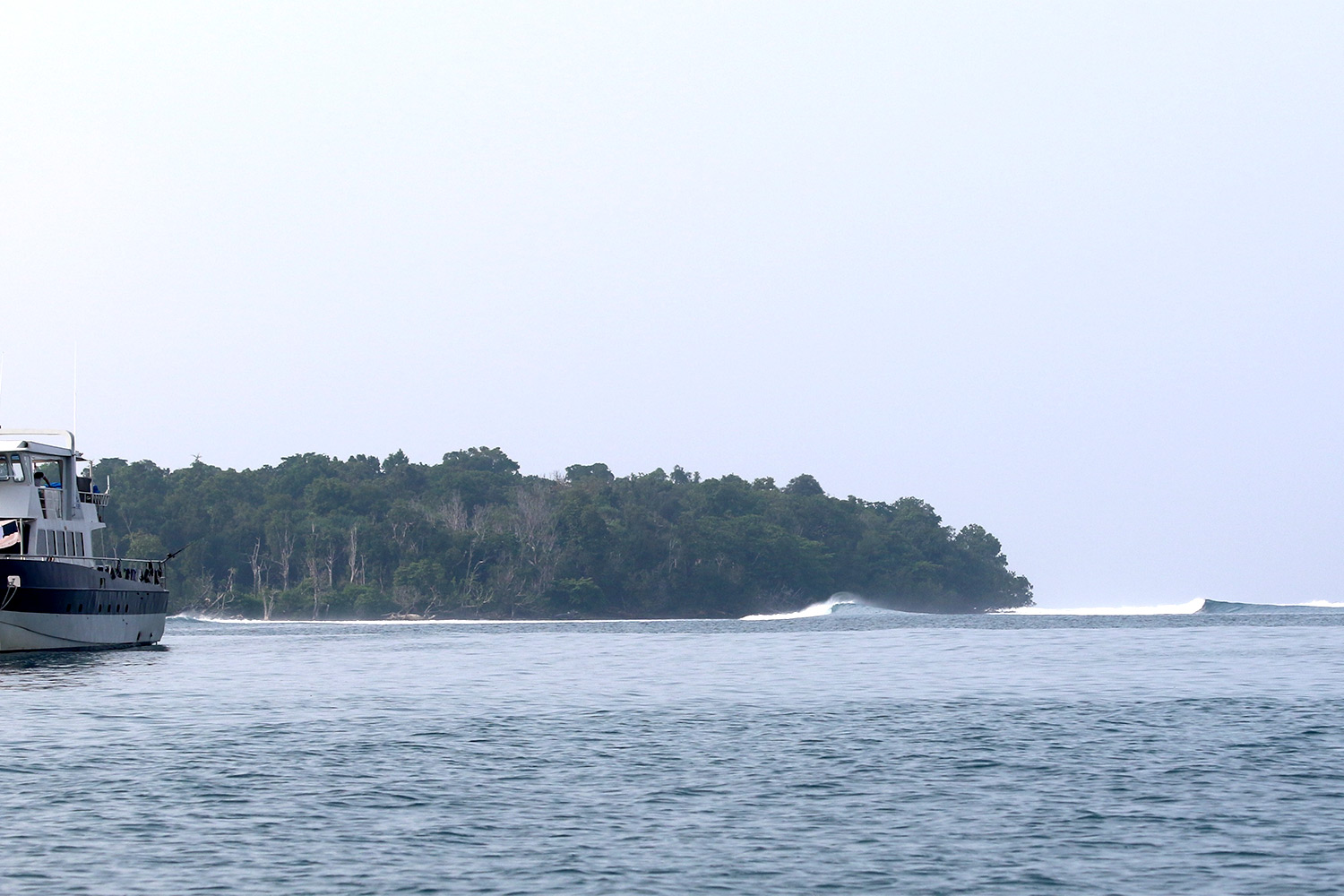 pulse-surf-charters-plenty-lefts-04