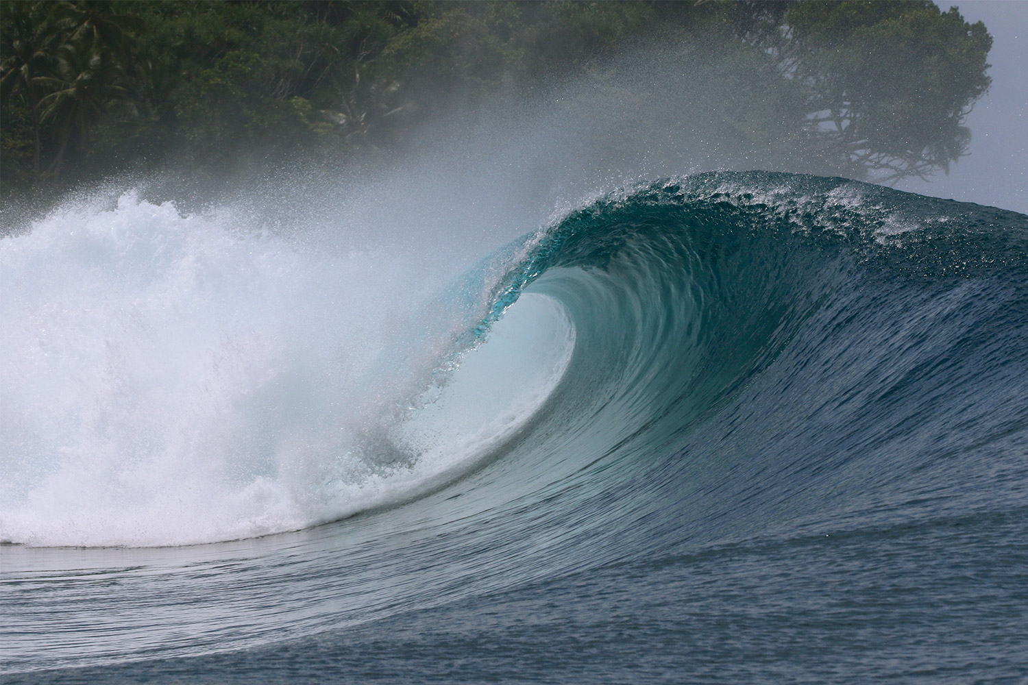 pulse-surf-charters-plenty-lefts-05