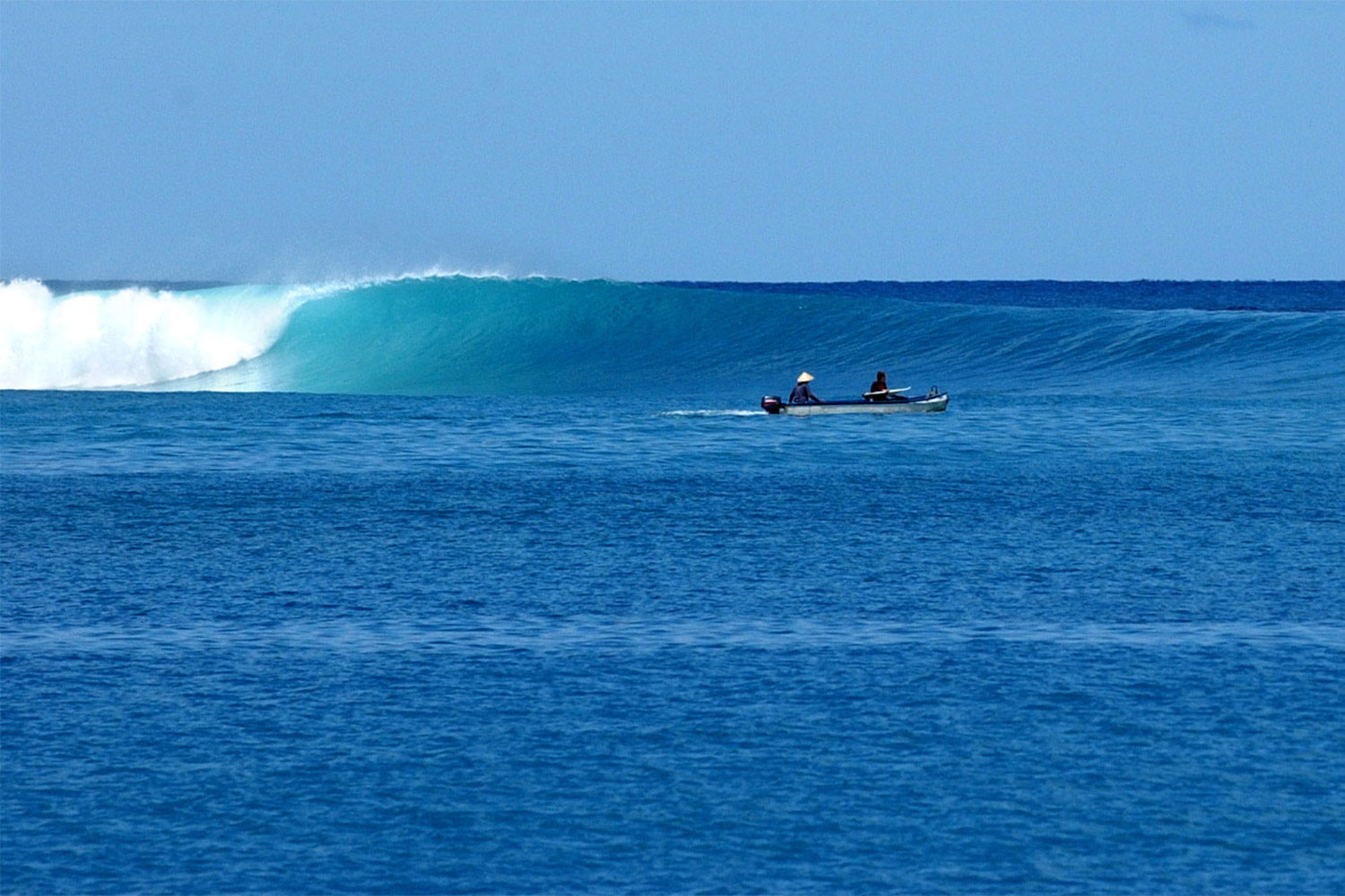 pulse-surf-charters-plenty-lefts-06