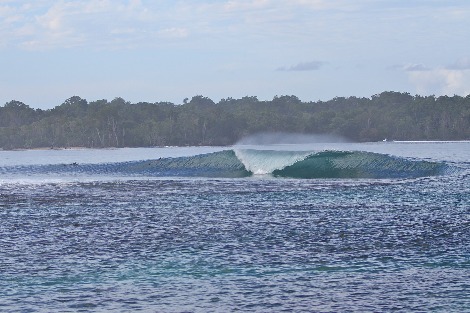 pulse-surf-charters-plenty-rights-14