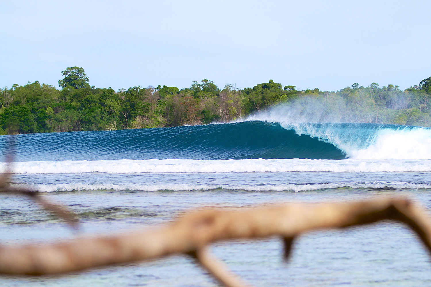 pulse-surf-charters-plenty-rights-15
