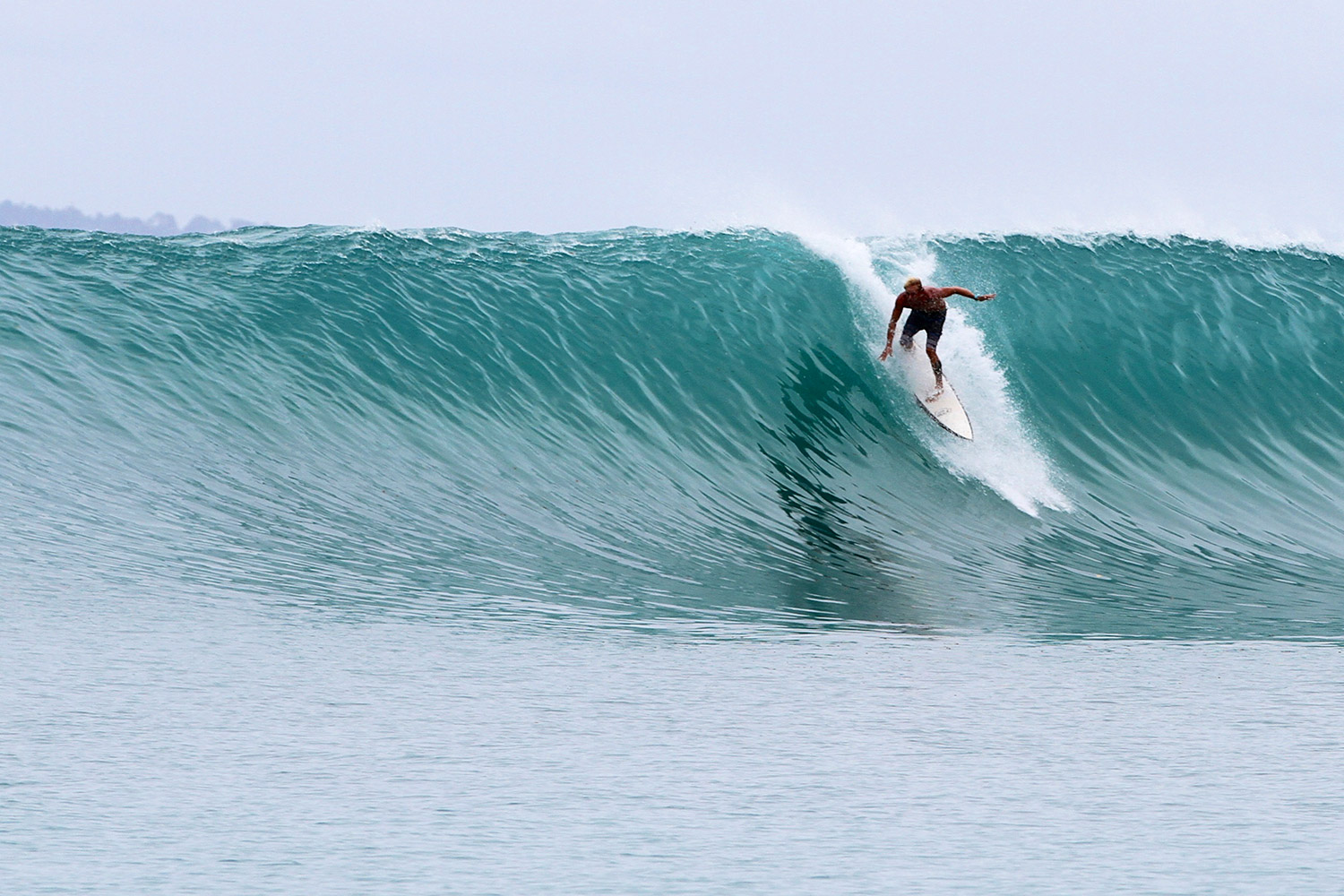 pulse-surf-charters-plenty-rights-17