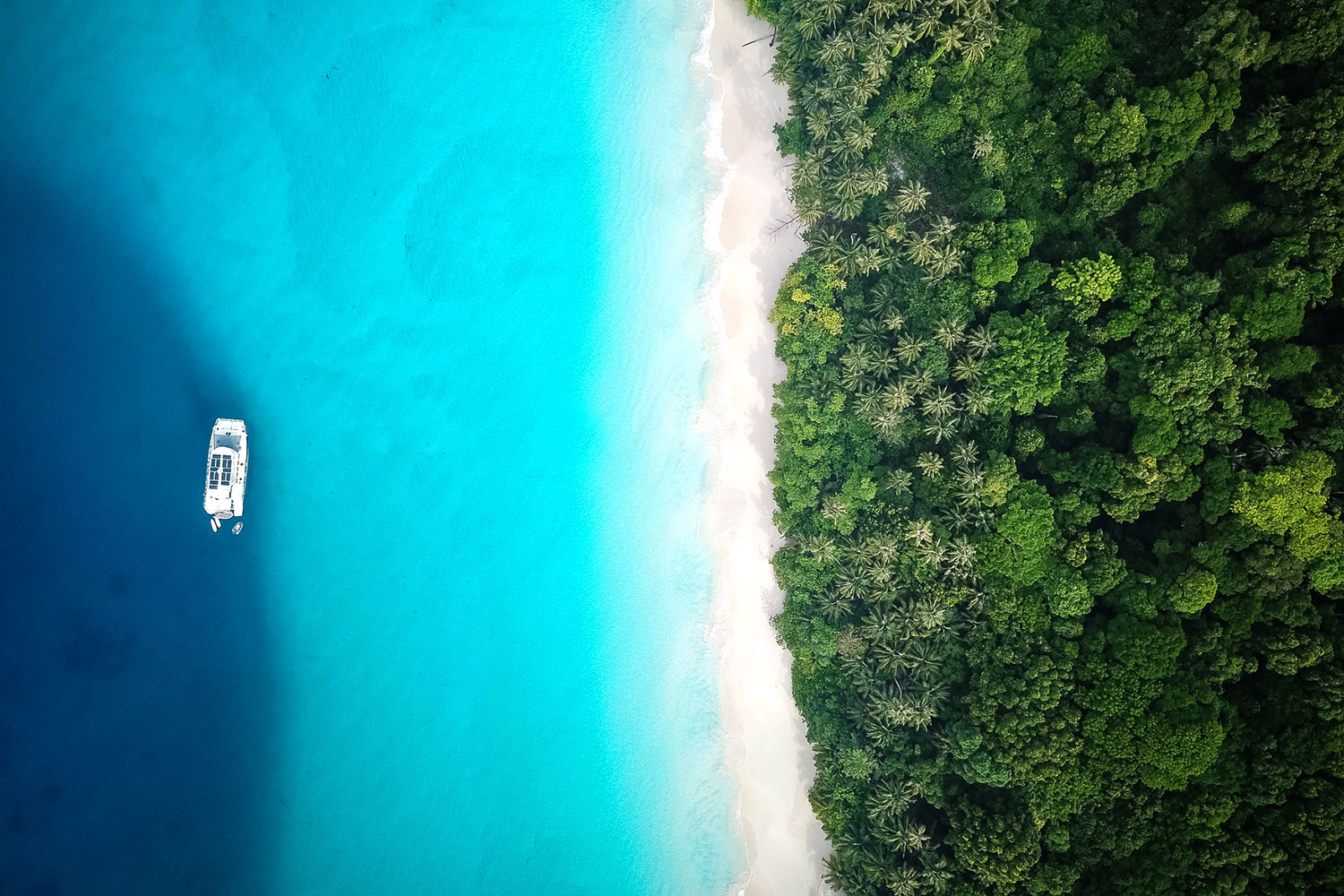 pulse-surf-charters-pulse-07
