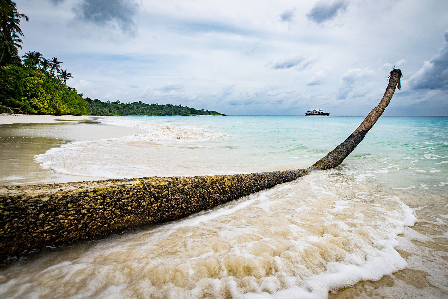 pulse-surf-charters-pulse-08