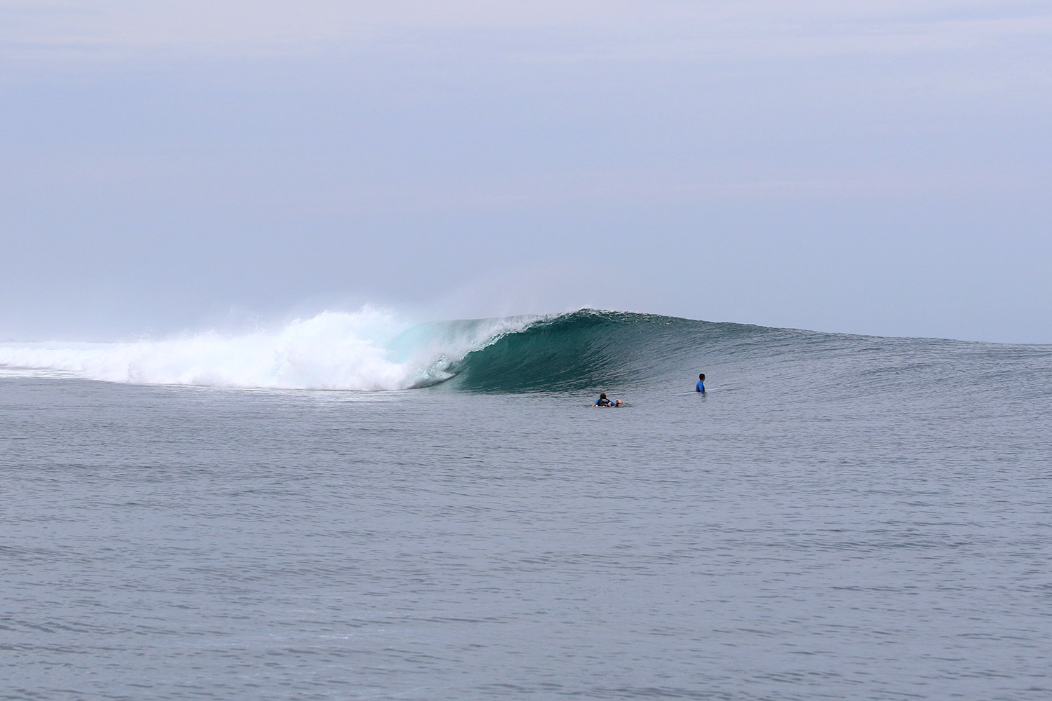 pulse-surf-charters-smarties-04