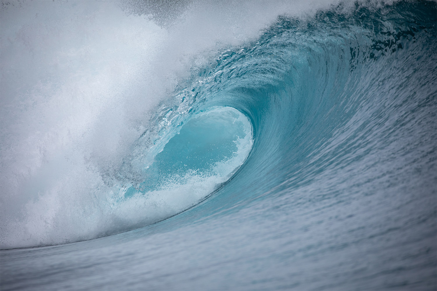 pulse-surf-charters-smarties-17