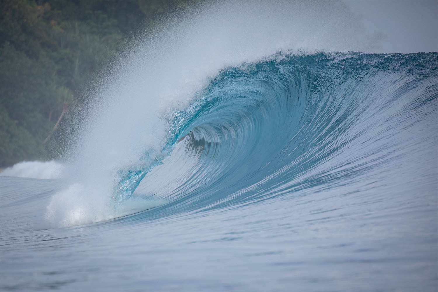 pulse-surf-charters-smarties-18