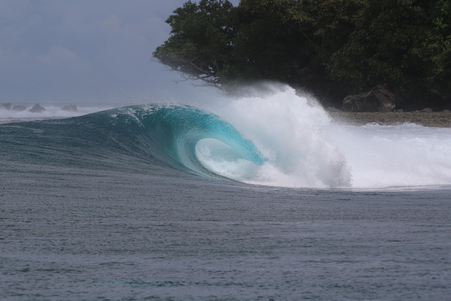 pulse-surf-charters-treasures-10