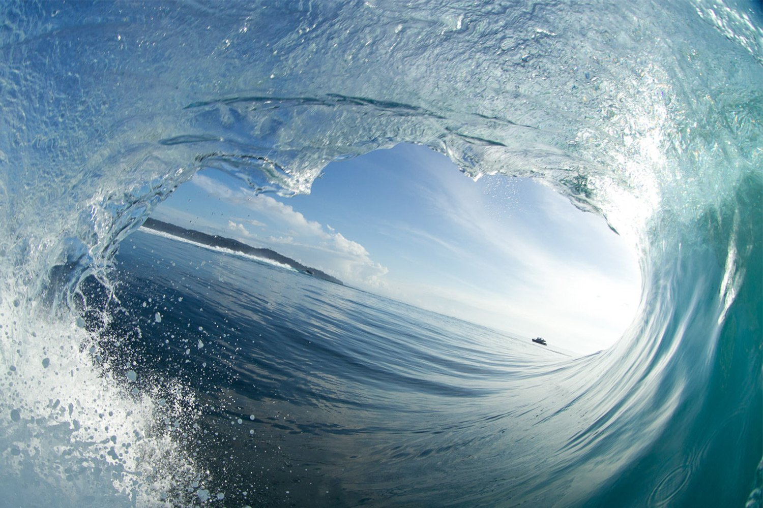 pulse-surf-charters-treasures-16