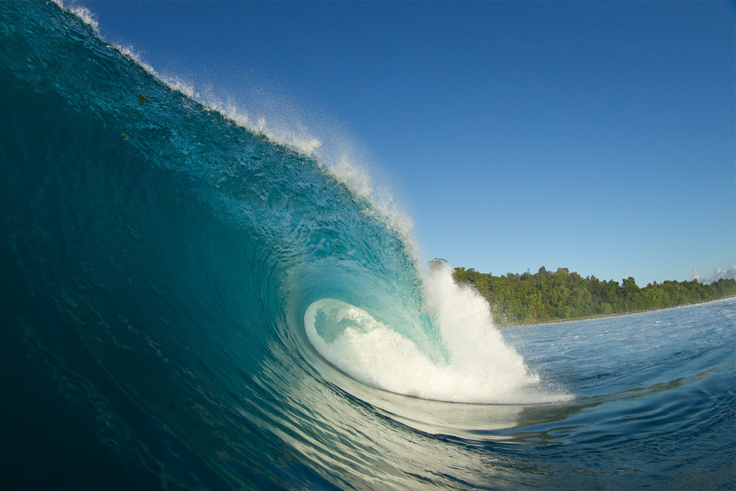 pulse-surf-charters-treasures-17
