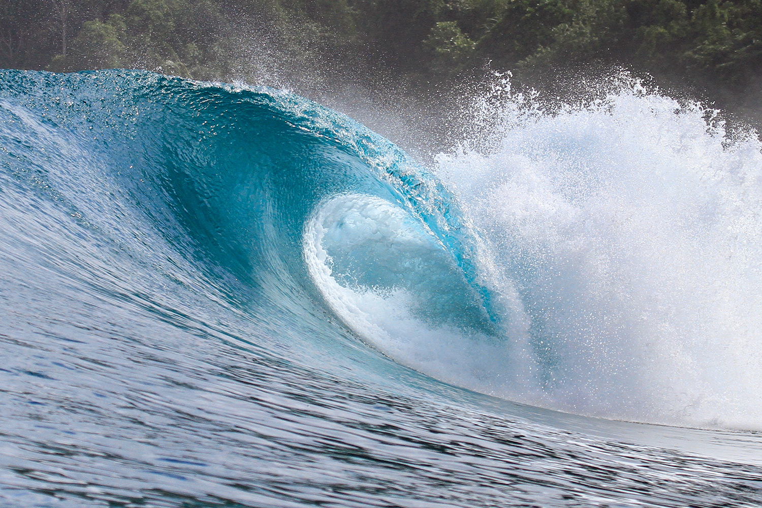 pulse-surf-charters-treasures-21