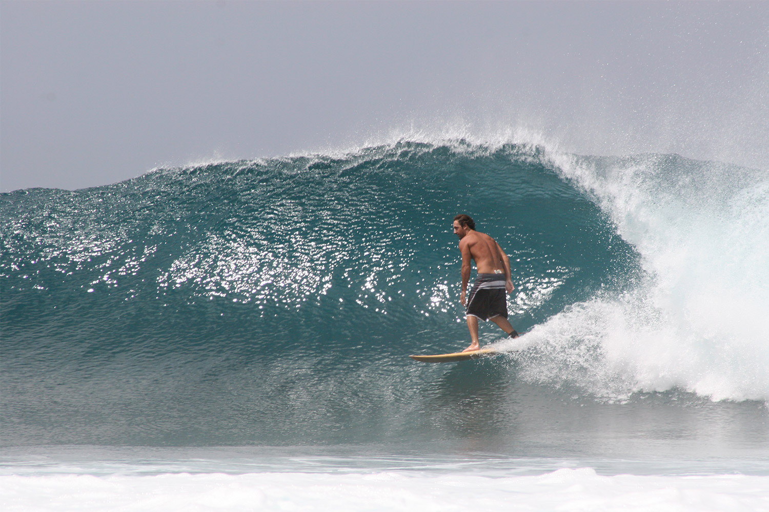 pulse-surf-charters-treasures-22