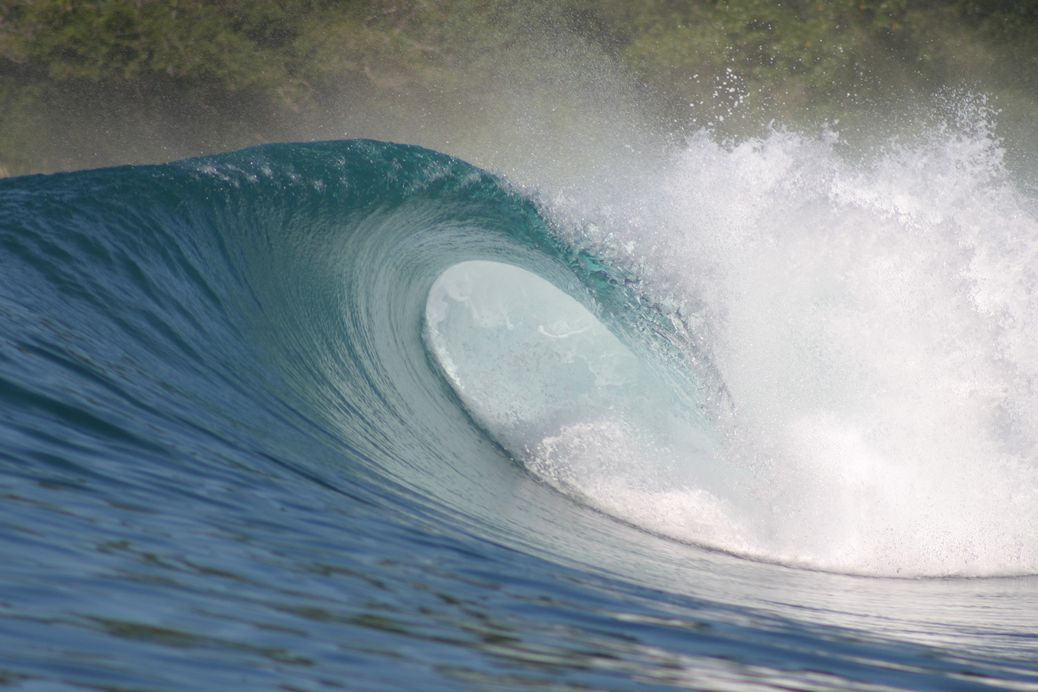 pulse-surf-charters-treasures-23