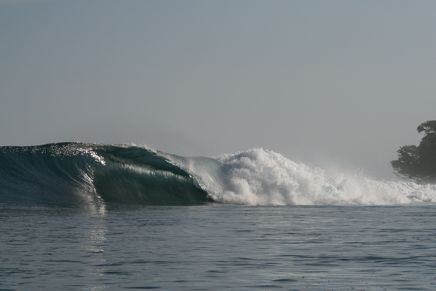 pulse-surf-charters-treasures-24