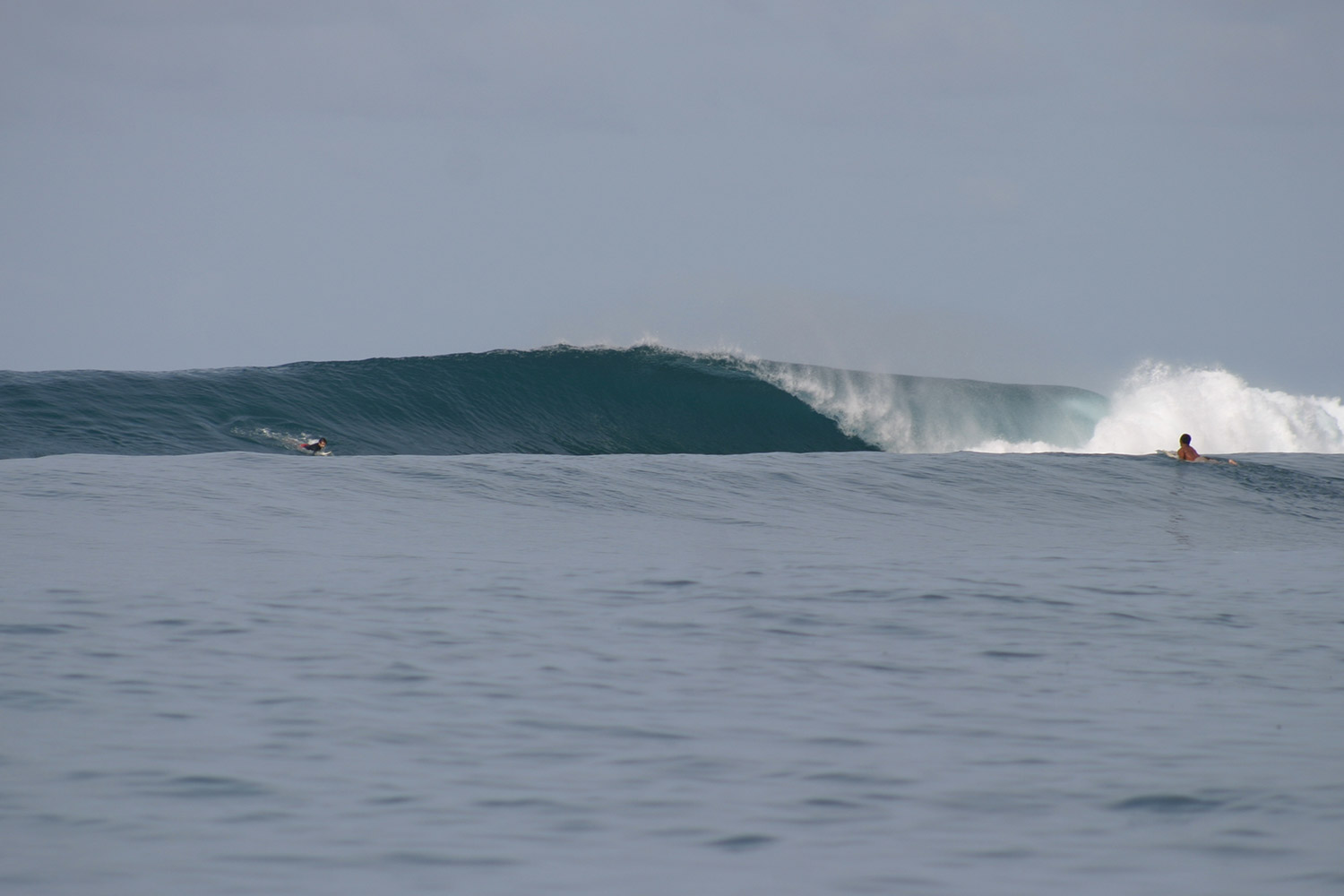 pulse-surf-charters-treasures-30