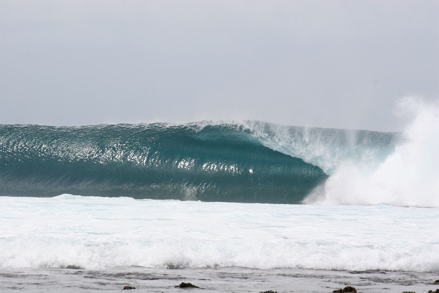 pulse-surf-charters-treasures-32