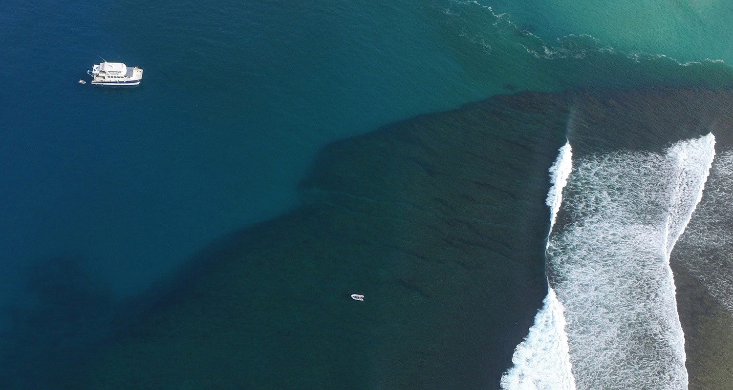 pulse-surf-charters-trip-aerial
