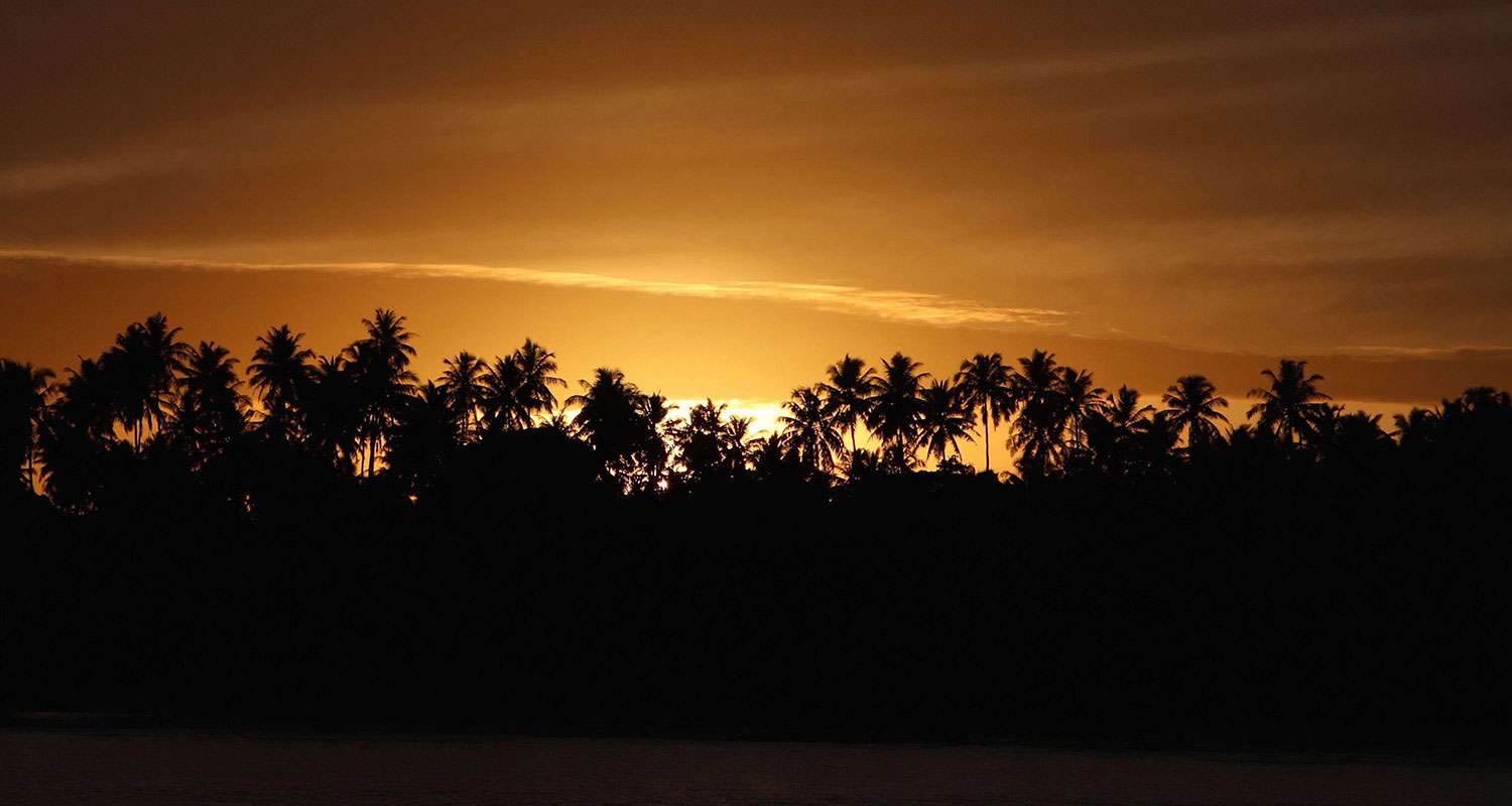 pulse-surf-charters-trip-sunset